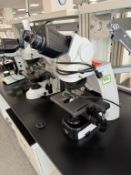Nikon Eclipse Upright Microscope