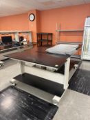 Lab Tables, Racks and Carts