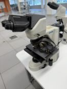 Nikon Eclipse 50i Microscope