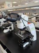 Nikon Eclipse Upright Microscope