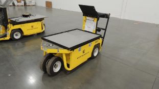 2019 Electric Utility Vehicle