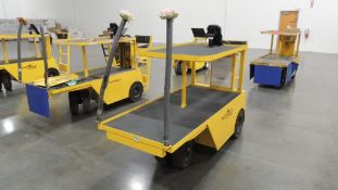 2019 Electric Utility Vehicle