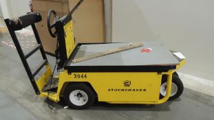 2019 Electric Utility Vehicle