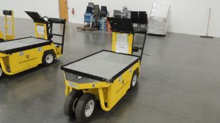 2019 Electric Utility Vehicle