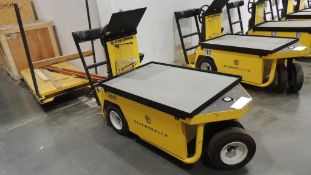 2019 Electric Utility Vehicle
