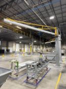 Vacuum Lift with Strongarm