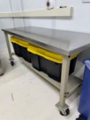 Assorted Storage Bins and Racks