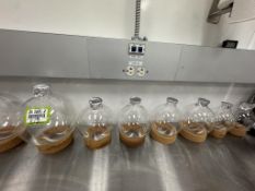 Assorted Beakers