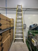 Werner 10' Stepladder