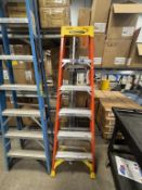 Werner 6' Stepladder