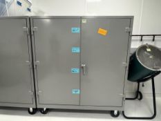 Lyon Security Cabinet