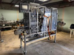 In-line Packaging System