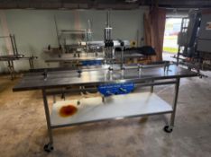 In-Line Filling System