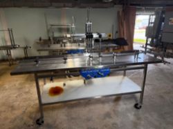 In-Line Filling System