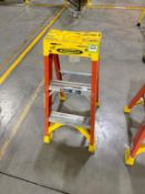 Werner Step Ladder