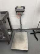 Ohaus Scale