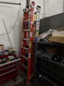 Werner Ladders