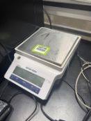 Mettler Toledo Balance