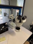 AmScope Stereo Zoom Microscope