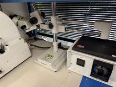 AmScope Stereo Zoom Microscope