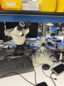 AmScope Stereo Zoom Microscope