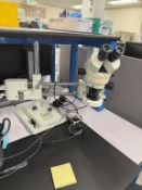 AmScope Stereo Zoom Microscope