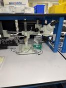 AmScope Stereo Zoom Microscope