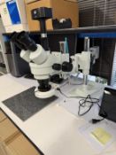 AmScope Stereo Zoom Microscope