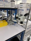 AmScope Stereo Zoom Microscope