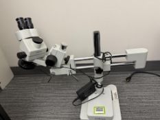 AmScope Stereo Zoom Microscope