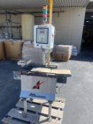 Checkweigher Dynamic In-Motion Scale System
