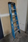 Werner Folding Ladder