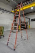 12' ft Fiberglass Ladder