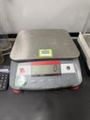 Ohaus Benchtop Scale