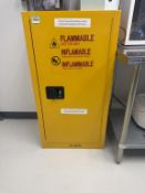 Flammable Liquids Storage Cabinet
