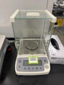 Electronic Balance