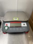 Ohaus Bench Scale