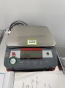 Ohaus Benchtop Scale