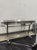 Mobius Infeed Conveyor