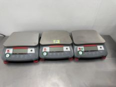 Benchtop Scales