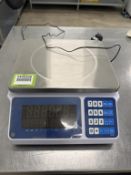 Counting Weighing Scale