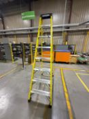 Werner Step Ladder