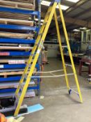9-tread electrical step ladder