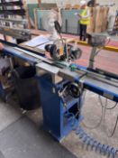 AL7, 16316.3, Circular Saw with Infeed and Disharge Table, Serial Number: R136, Year of Manufactu...