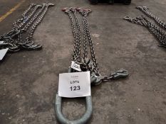 Chain sling with 8 hooks