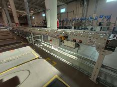 Packaging Conveyor