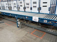 Packaging Conveyor