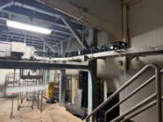 Case Conveyor/Divider and Ladder