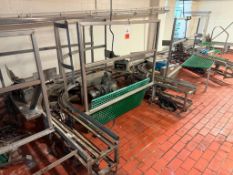 Case Chain Conveyor and Drives