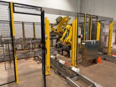 Robotic Case Stacking System